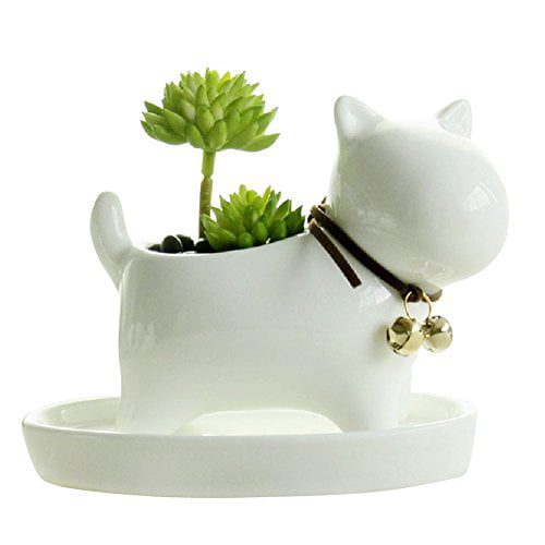GeLive White Dinosaur Ceramic Succulent Planter Flower Plant Pot Window Box with Saucer Cartoon Animal Decor 